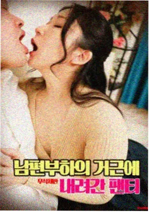 小小影视官方网站资讯 山海候鸟 加长版放映